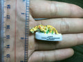 French Fève Miniature Porcelain Disney Character Figurine – Individual Collectible Toy Story & Jungle Book King Cake Charm
